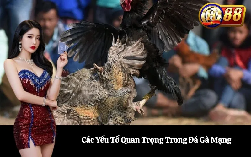 Các Yếu Tố Quan Trọng Trong Đá Gà Mạng