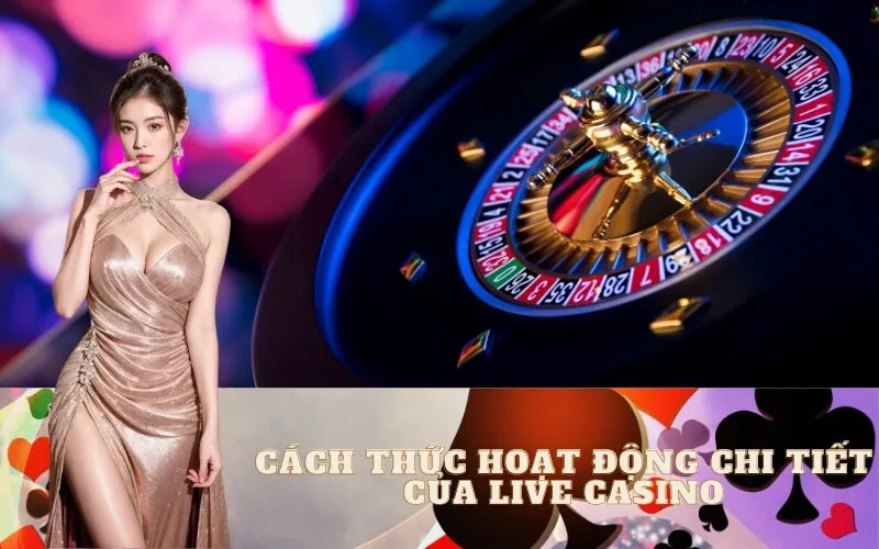 Cách thức hoạt động chi tiết của Live Casino từ A-Z