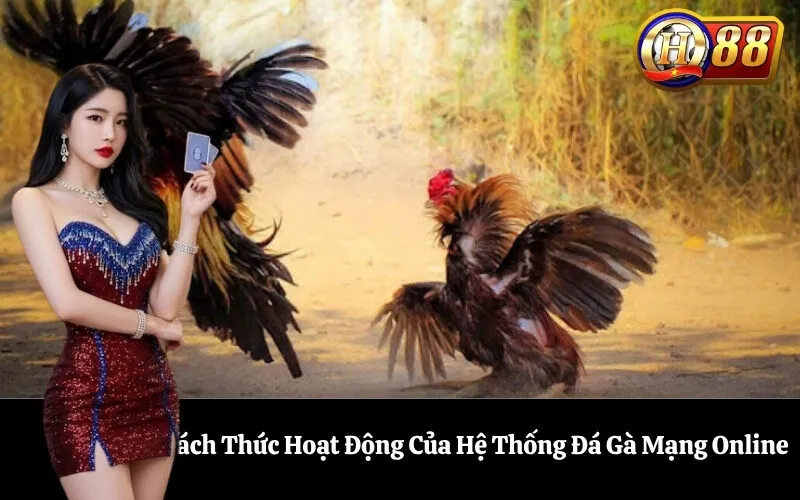Cách Thức Hoạt Động Của Hệ Thống Đá Gà Mạng Online