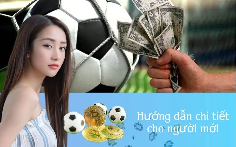 Hướng dẫn chi tiết cho người mới