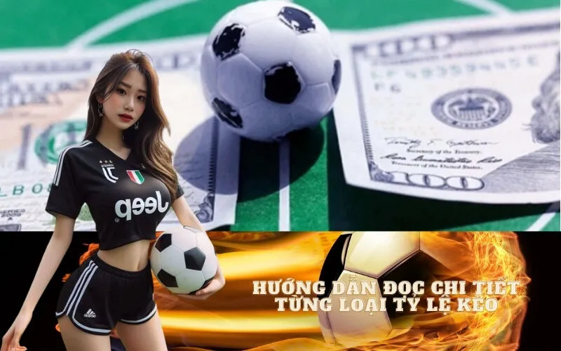 Hướng dẫn đọc chi tiết từng loại tỷ lệ kèo phổ biến nhất 2025