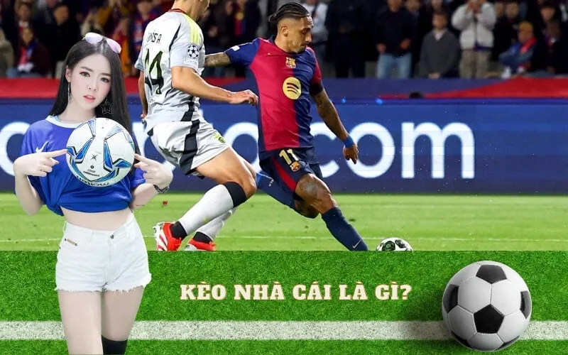 Kèo nhà cái là gì? Những khái niệm nền tảng