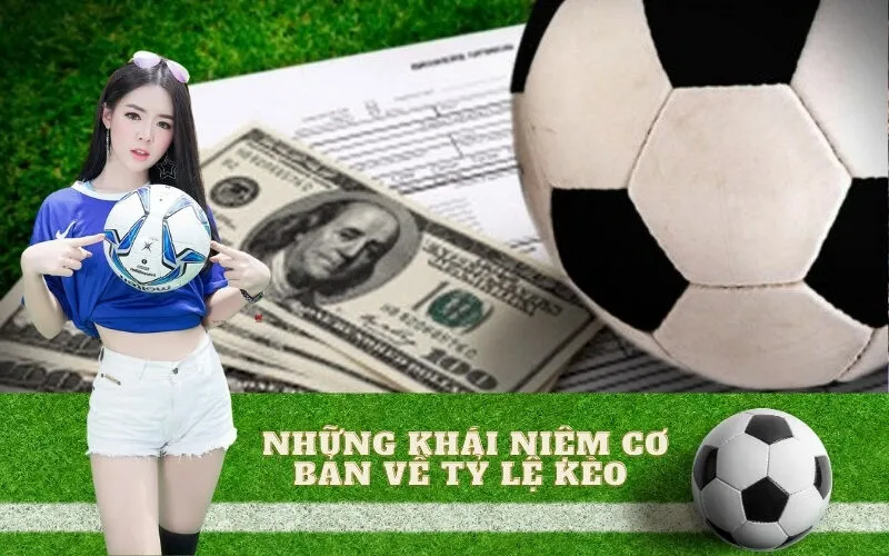 Những khái niệm cơ bản về tỷ lệ kèo cần nắm vững