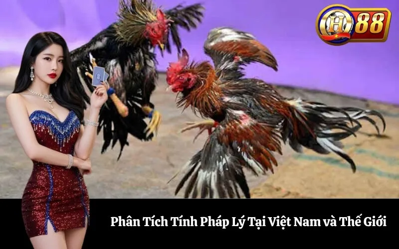 Phân Tích Tính Pháp Lý Tại Việt Nam và Thế Giới