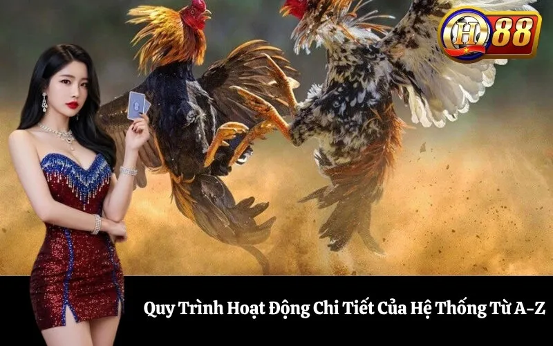 Quy Trình Hoạt Động Chi Tiết Của Hệ Thống Từ A-Z