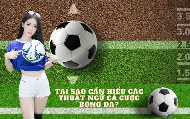 Tại sao cần hiểu các thuật ngữ cá cược bóng đá?