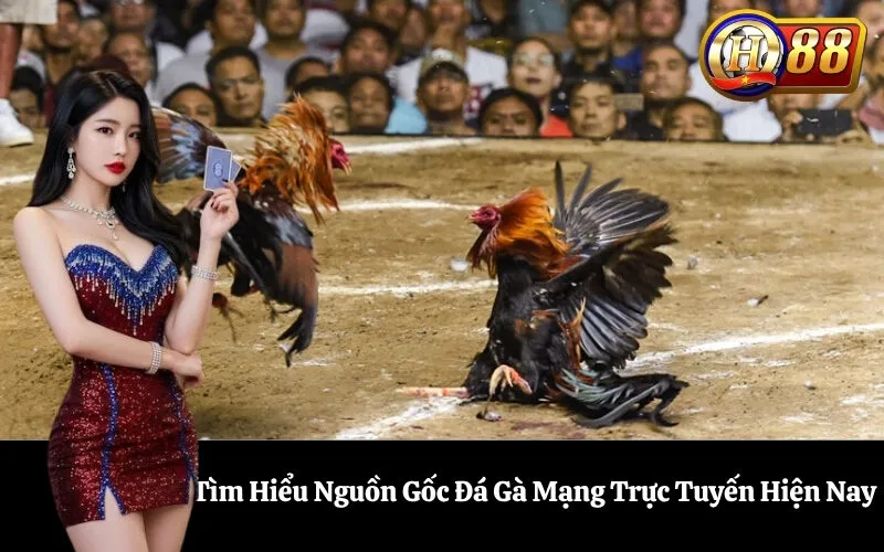 Tìm Hiểu Nguồn Gốc Đá Gà Mạng Trực Tuyến Hiện Nay
