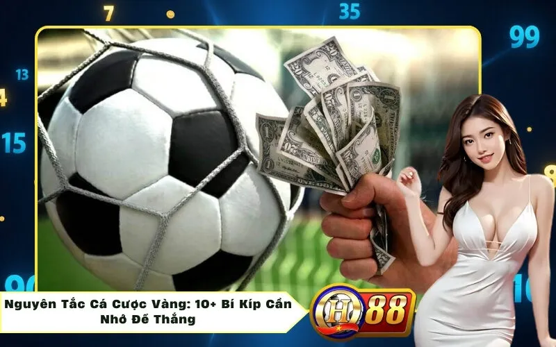 Nguyên Tắc Cá Cược Vàng: 10+ Bí Kíp Cần Nhớ Để Thắng